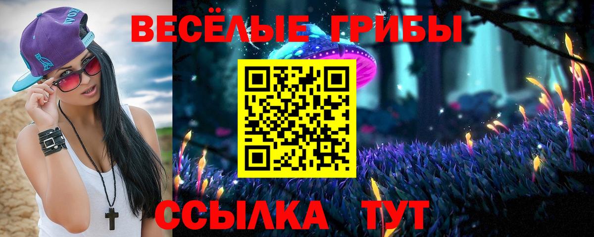 Мирный  Галлюциногенные грибы MAGIC MUSHROOMS  Вход с VPN 