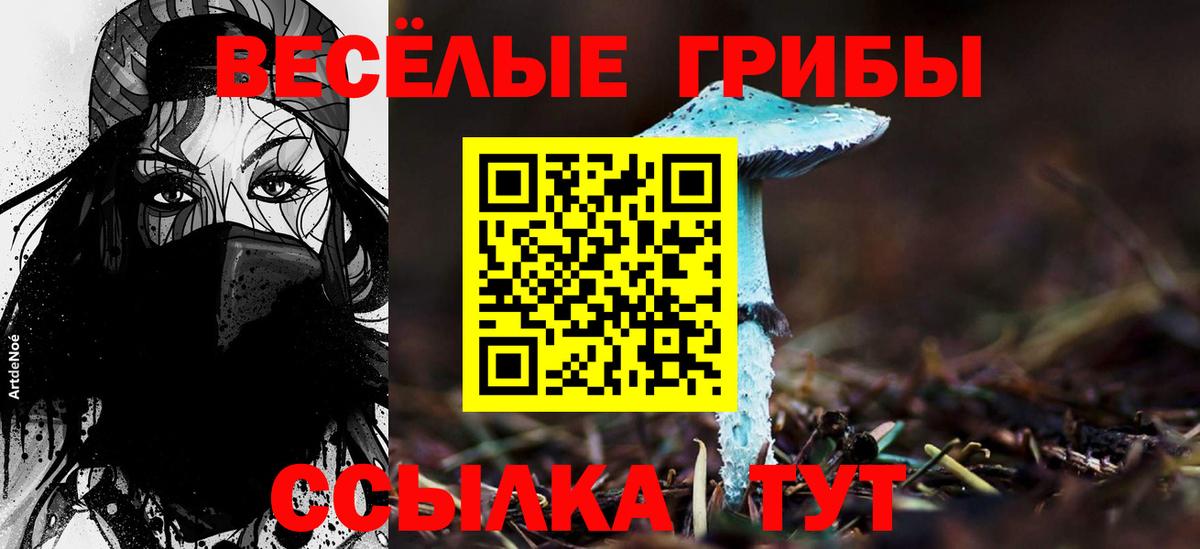 Галлюциногенные грибы Cubensis Мирный